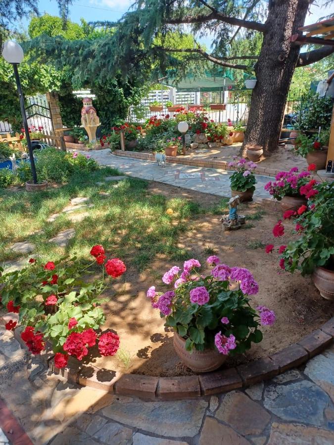 Handmade Peaceful Cozy House Near The Beach Nea Kallikrateia Exterior photo